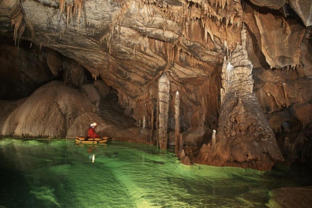 Cozy Rooms In Nature, Perfect For Relax Ilirska Bistrica Dış mekan fotoğraf