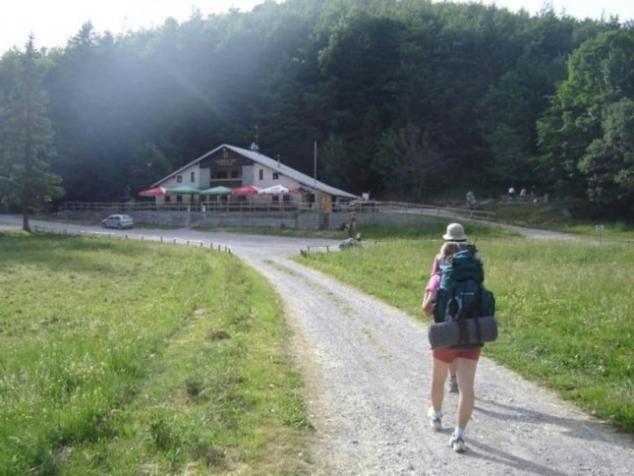 Cozy Rooms In Nature, Perfect For Relax Ilirska Bistrica Dış mekan fotoğraf